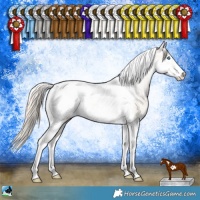 Horse Color:Perlino Tobiano Frame Appaloosa Rabicano