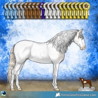 Horse Color:Perlino Tobiano Frame Appaloosa Rabicano 