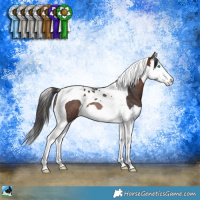 Horse Color:Brown Splash Tobiano Rabicano