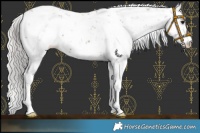 Horse Color:Silver Black Sabino 