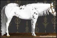 Horse Color:Smoky Black Sabino 