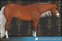 Horse Color:Chocolate Silver Brown