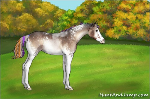 Horse Color:Painted White Spotted Silver Brown Onyx Splash 