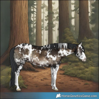 Horse Color:White Spotted Brown Ice Onyx Splash 
