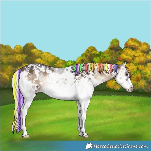 Horse Color:Painted White Spotted Silver Brown Onyx Splash Rabicano 