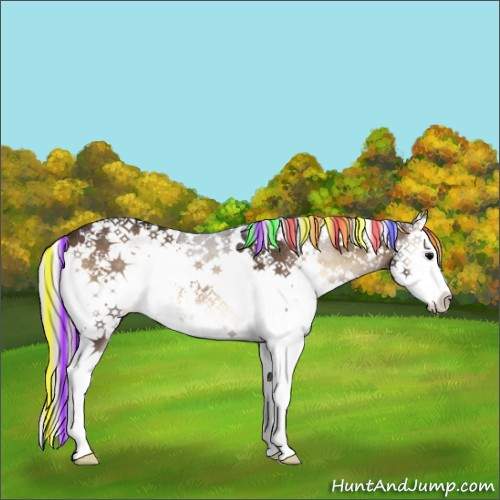 Horse Color:Painted White Spotted Silver Brown Onyx Splash Rabicano 
