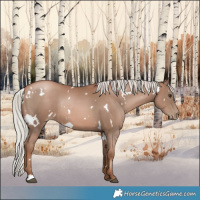 Horse Color:White Spotted Silver Black Pearl Sabino Rabicano 