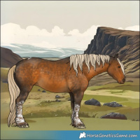 Horse Color:Chocolate Palomino Tobiano 