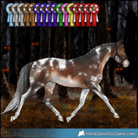 Horse Color:White Spotted Brown Tobiano Varnish Rabicano 