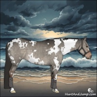 Horse Color:White Spotted Liver Red Dun 
