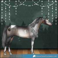 Horse Color:Gray Brown Tobiano 