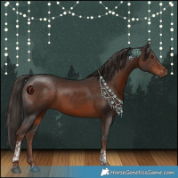 Horse Color:Liver Chestnut Tobiano 
