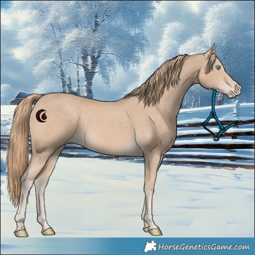 Horse Color:White Spotted Smoky Creme 
