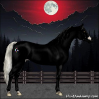Horse Color:White Spotted Silver Brown Ice Dun 