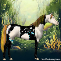 Horse Color:Painted Buckskin Ice Pearl Dun Tobiano 