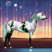 Horse Color:Painted Watercolor White Spotted Buckskin Ice Roan