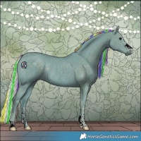 Horse Color:Painted Watercolor Silver Black Rabicano