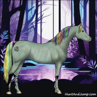 Horse Color:Painted Watercolor Silver Black Rabicano