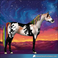 Horse Color:Painted White Spotted Bay Tobiano 