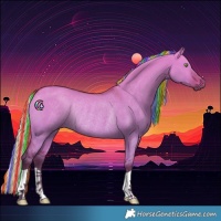 Horse Color:Painted Silver Bay Dun Rabicano 