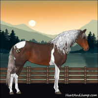 Horse Color:Silver Brown Tobiano 
