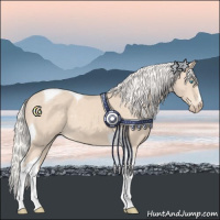 Horse Color:Silver Perlino Tobiano