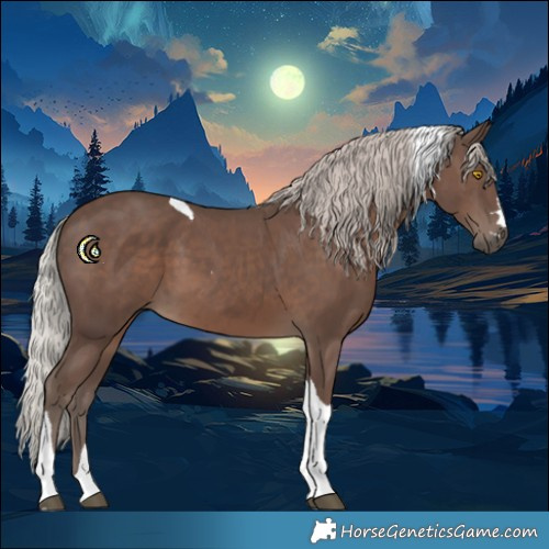 Horse Color:Silver Black Tobiano 