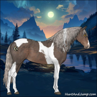 Horse Color:Silver Black Tobiano