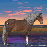 Horse Color:Silver Black Tobiano