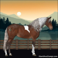 Horse Color:Silver Brown Tobiano 