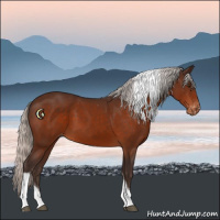 Horse Color:Silver Brown Tobiano Varnish 