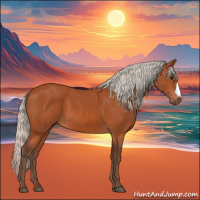 Horse Color:Silver Bay 