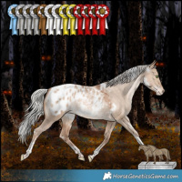 Horse Color:White Spotted Silver Brown Pearl Dun Tobiano Appaloosa Rabicano