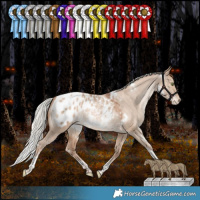 Horse Color:White Spotted Silver Brown Pearl Dun Tobiano Appaloosa Rabicano 