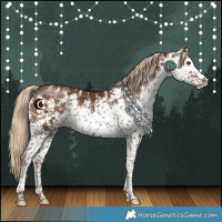 Horse Color:White Spotted Chocolate Palomino 