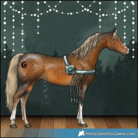 Horse Color:White Spotted Chocolate Palomino 
