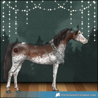 Horse Color:White Spotted Liver Chestnut Tobiano 
