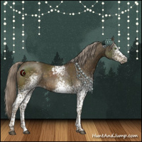 Horse Color:White Spotted Chocolate Palomino Tobiano 