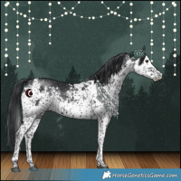 Horse Color:White Spotted Black 