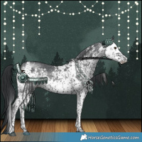 Horse Color:White Spotted Black 