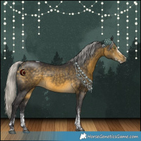 Horse Color:White Spotted Silver Buckskin Tobiano 