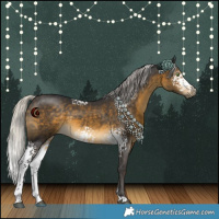 Horse Color:White Spotted Silver Buckskin 