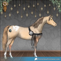 Horse Color:Sable Cream Champagne Varnish Rabicano 
