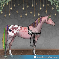 Horse Color:Painted Brown Dun Appaloosa 