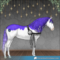 Horse Color:Watercolor White Spotted Black Splash 