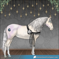 Horse Color:Silver Classic Cream Champagne Pearl Rabicano 