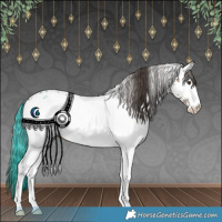 Horse Color:White Spotted Classic Champagne Rabicano 