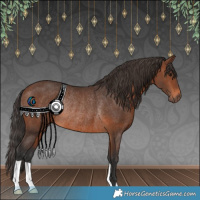 Horse Color:Brown Rabicano 