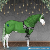 Horse Color:Watercolor Black Splash 