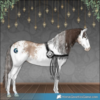 Horse Color:White Spotted Classic Champagne Rabicano 